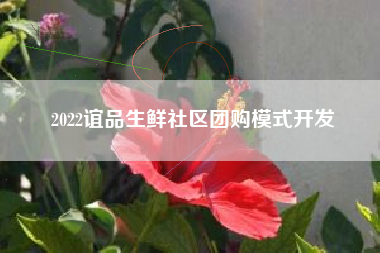 2022谊品生鲜社区团购模式开发