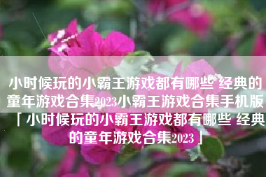 小时候玩的小霸王游戏都有哪些 经典的童年游戏合集2023小霸王游戏合集手机版「小时候玩的小霸王游戏都有哪些 经典的童年游戏合集2023」 小时候玩的小霸王游戏都有哪些 经典的童年游戏合集2023小霸王游戏合集手机版「小时候玩的小霸王游戏都有哪些 经典的童年游戏合集2023」