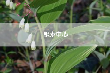 银泰中心