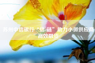 苏州中信银行“信e链”助力小微供应商高效融资