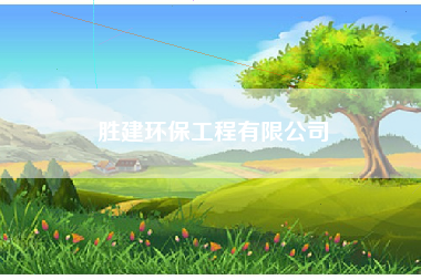 胜建环保工程有限公司